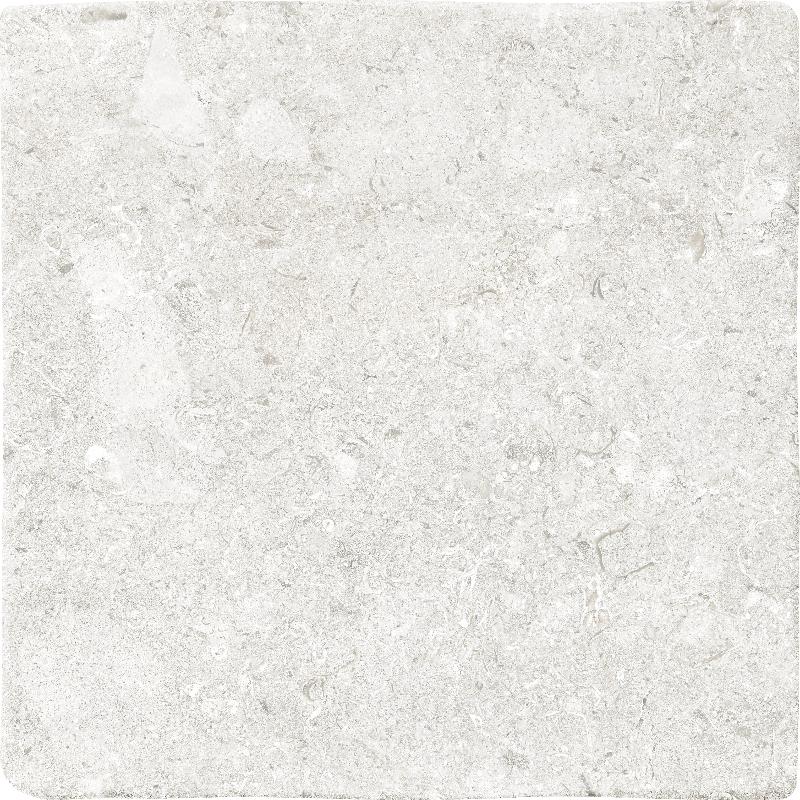 Vicentina XXS 22x22 cm lattia- ja seinälaatta