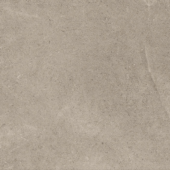 Leccese cesellata tortora