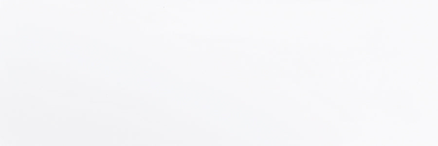 Blanco Brillo 30x90cm seinälaatta