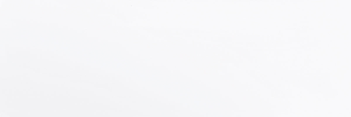 Blanco Brillo 40x120 seinälaatta
